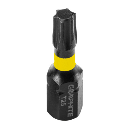 Slagbits TX25 x 25 mm, 20 stycken.