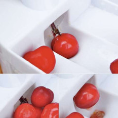 Torkmaskin för körsbär Ruhhy 20623