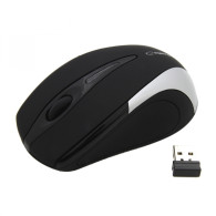 EM101S Trådlös 2,4 GHz 3D optisk USB-mus Antares silver