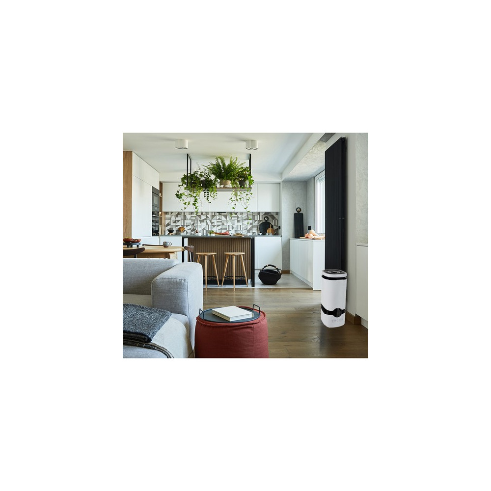 Luftfuktare med aromaterapi Ruhhy 22739