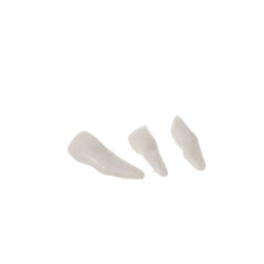 Människans skelett - 170 cm Malatec 22583