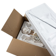 Människans skelett - 170 cm Malatec 22583