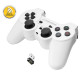 EGG108W Trådlös spelkontroll PC/PS3 USB Gladiator vit-svart