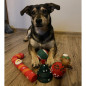 Julklapp till hunden - leksaker Purlov 22637