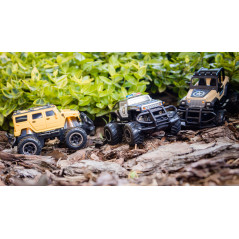 Minibilen fjärrstyrd ARMY