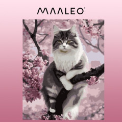 Målning efter nummer 40x50cm - kattunge Maaleo 22783 | HandlaSmidigt.se