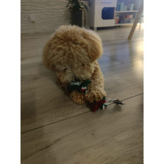 Julklapp till hunden - leksaker Purlov 22637 | HandlaSmidigt.se