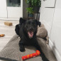 Julklapp till hunden - leksaker Purlov 22637