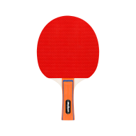 Pingisracket set med nät REBEL ACTIVE