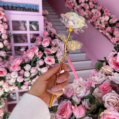 AG774A Guldrosa present regnbåge