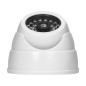Fångst av infraröd CCTV-övervakningskamera, batteridriven, MINI, vit