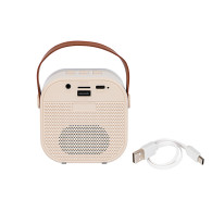30-358- Bluetooth-högtalare karaoke rgb 2 mikrofoner