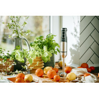 AD 4628 Blender ręczny z funkcją turbo i kruszenia lodu