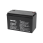 Gelbatteri VIPOW 12V 100Ah