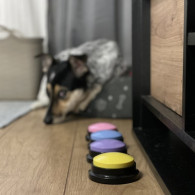 Ljudknappar för Purlov 24615-djur