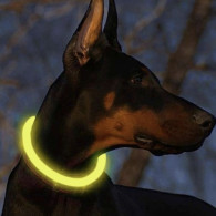 Lysande LED-halsband - justerbart Purlov 24200