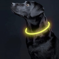 Lysande LED-halsband - justerbart Purlov 24200