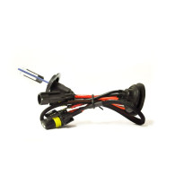 01420 HID Żarnik H7R 6000K xenonowy 