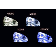 01848 Zestaw 1103 H8 H9 H11 6000K 