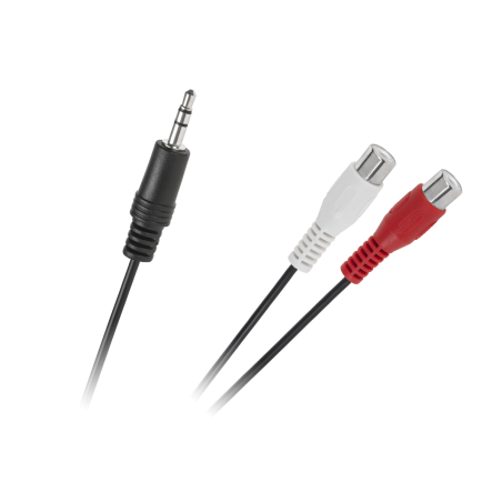 Kabel Jack 3,5 mm hane till 2 RCA hona 25 cm