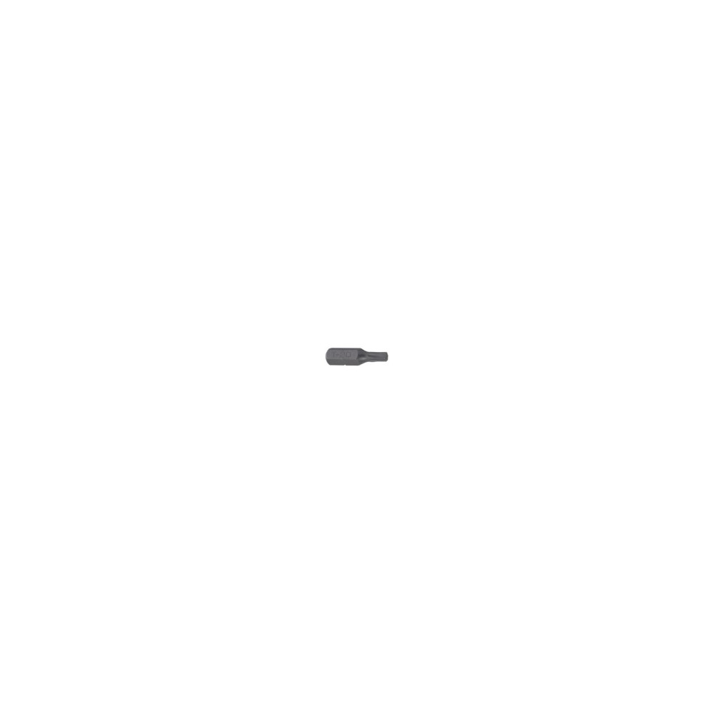 Ändstycke 1/4' torx t6, l-25mm, 10 st proline [p]