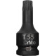 Bitset med 1/2' Torx T60, L-60mm Proline