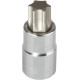 Bitonasadka 1/2'' t40 torx 55mm proline

Bitfäste 1/2'' t40 torx 55mm proline
