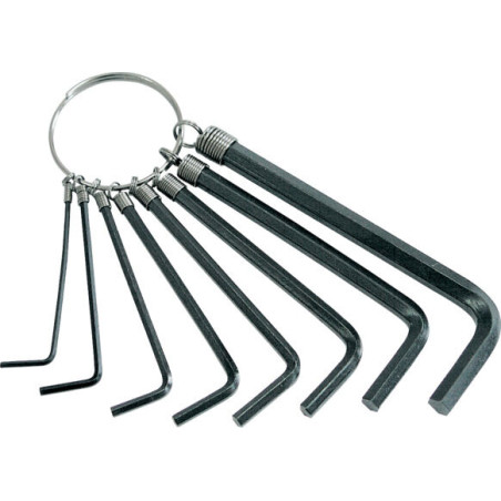 Insexnycklar (2-14mm) set om 12 st på ring, i fodral