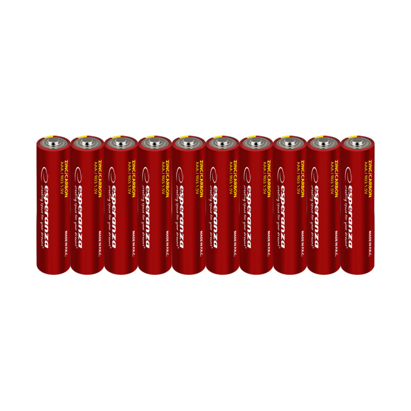 EZB204 Esperanza batteri zn-c aaa 10 st