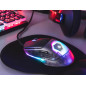 Tracer GameZone Neon RGB USB musen