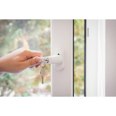 Fönsterhandtag 23438