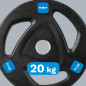 Belastad olympisk gjuten järnvikt 20 kg, gummibelagd, hål 51 mm, REBEL ACTIVE.