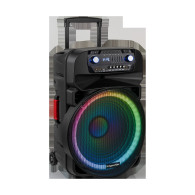 Aktiv högtalarkolumn (med 2 trådlösa UHF-mikrofoner, SD, Bluetooth, FM, USB, LED) 60 Watt