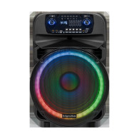 Aktywna kolumna głośnikowa (z 2 mikrofonami bezprzewodowymi UHF, SD, Bluetooth, FM, USB, LED) 60 Watt