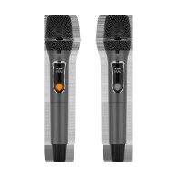 Aktiv högtalarkolumn (med 2 trådlösa UHF-mikrofoner, SD, Bluetooth, FM, USB, LED) 60 Watt