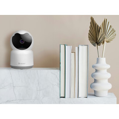 IP-kamera för intern övervakning. FOCUS 3