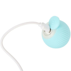 ZW28 Interaktiv boll för katt hund leksak