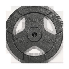 Belastning av gjutjärn 20 kg, hål 31 mm, tallrik med handtag, REBEL ACTIVE