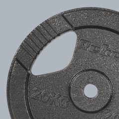 Belastning av gjutjärn 20 kg, hål 31 mm, tallrik med handtag, REBEL ACTIVE | HandlaSmidigt.se