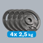 Belastning av järnset 4x2.5kg, hål 31mm, tallrik med handtag, REBEL ACTIVE