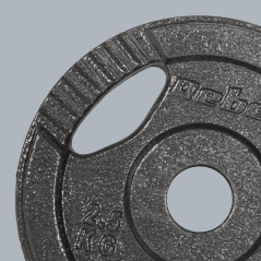 Belastning av järnset 4x2.5kg, hål 31mm, tallrik med handtag, REBEL ACTIVE | HandlaSmidigt.se