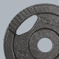 Belastning av järnset 4x2.5kg, hål 31mm, tallrik med handtag, REBEL ACTIVE