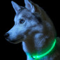 DA269 Lysande LED-halsband med grön reglering