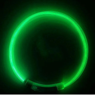 DA269 Lysande LED-halsband med grön reglering
