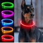 DA269A Lysande LED-halsband med RGB-reglering