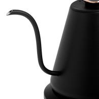 AD 1349 Metallkanna med lång pip 1,0l