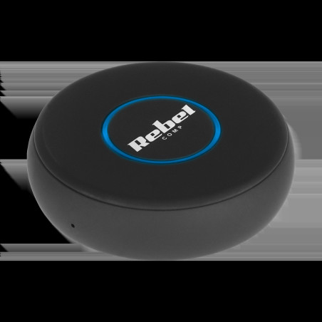 Bluetooth-ljudmottagare Rebel B20