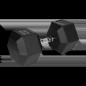 Hantel i järn med gummibeläggning HEX 40 kg REBEL ACTIVE