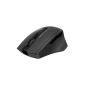 Mus A4TECH FSTYLER FG30S RF Grå (Tyst)