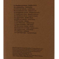 Luftfuktare - nattlampa Ruhhy 24378